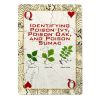Deck of Survival Playing Cards