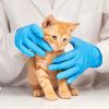 Nitrile Gloves - 100 per box